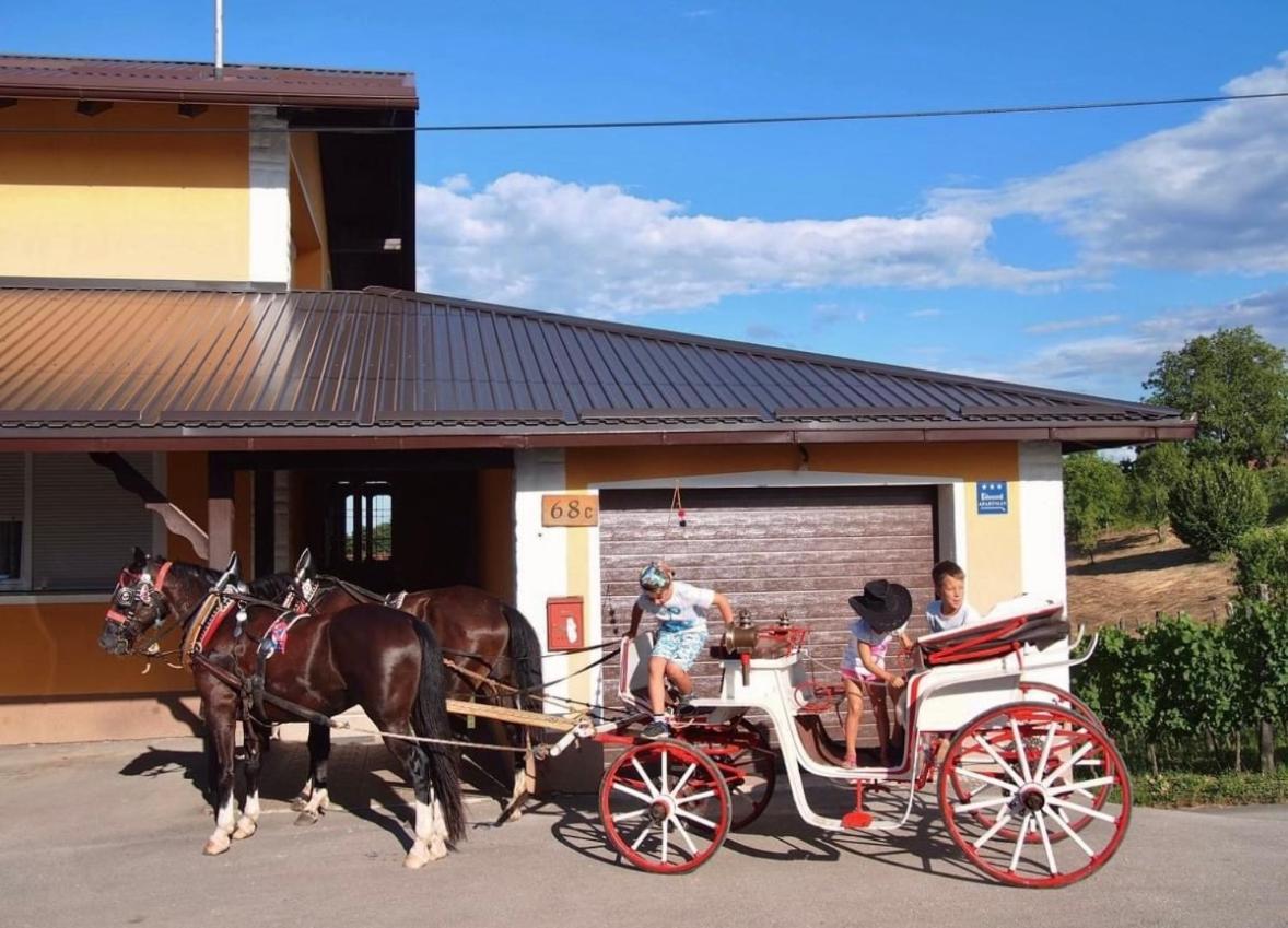 Apartman Ferenac Ozalj Buitenkant foto