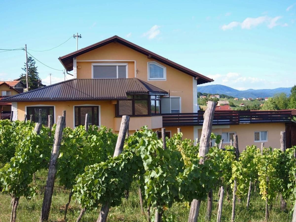Apartman Ferenac Ozalj Buitenkant foto